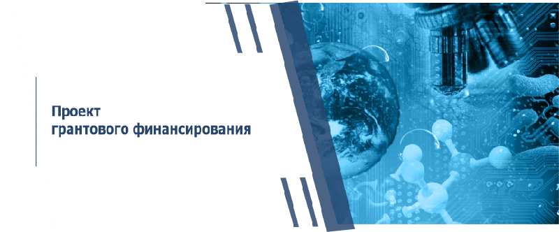 Проект грантового финансирования