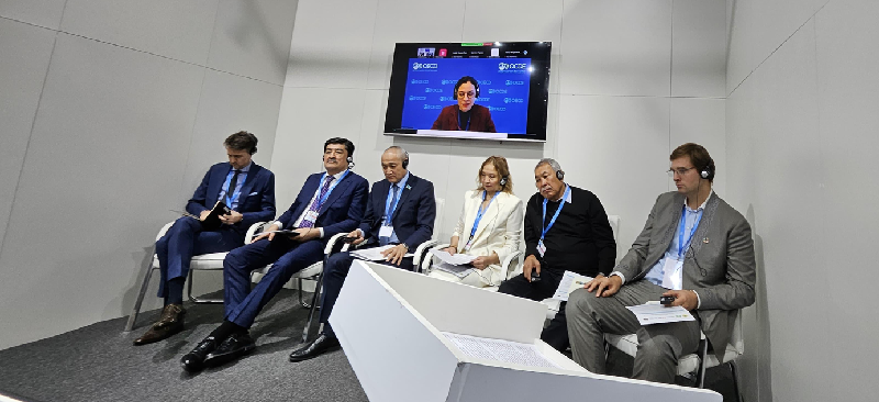 Rector of Energo University Gani Nygymentov Participates in COP 29